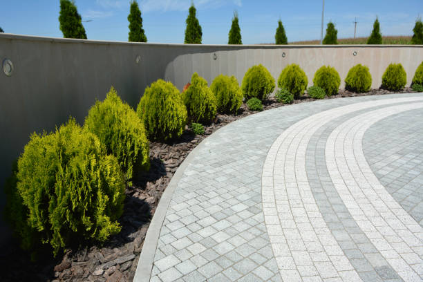 Reliable Spring Valley, AZ Driveway Pavers Solutions